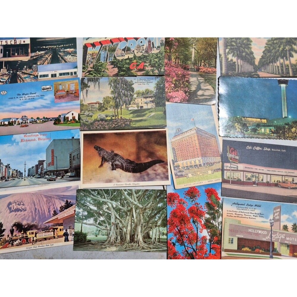 Lot 63 Vintage Postcards Unused From FL GA NM OK VA NC SC TN NV CA TX MA